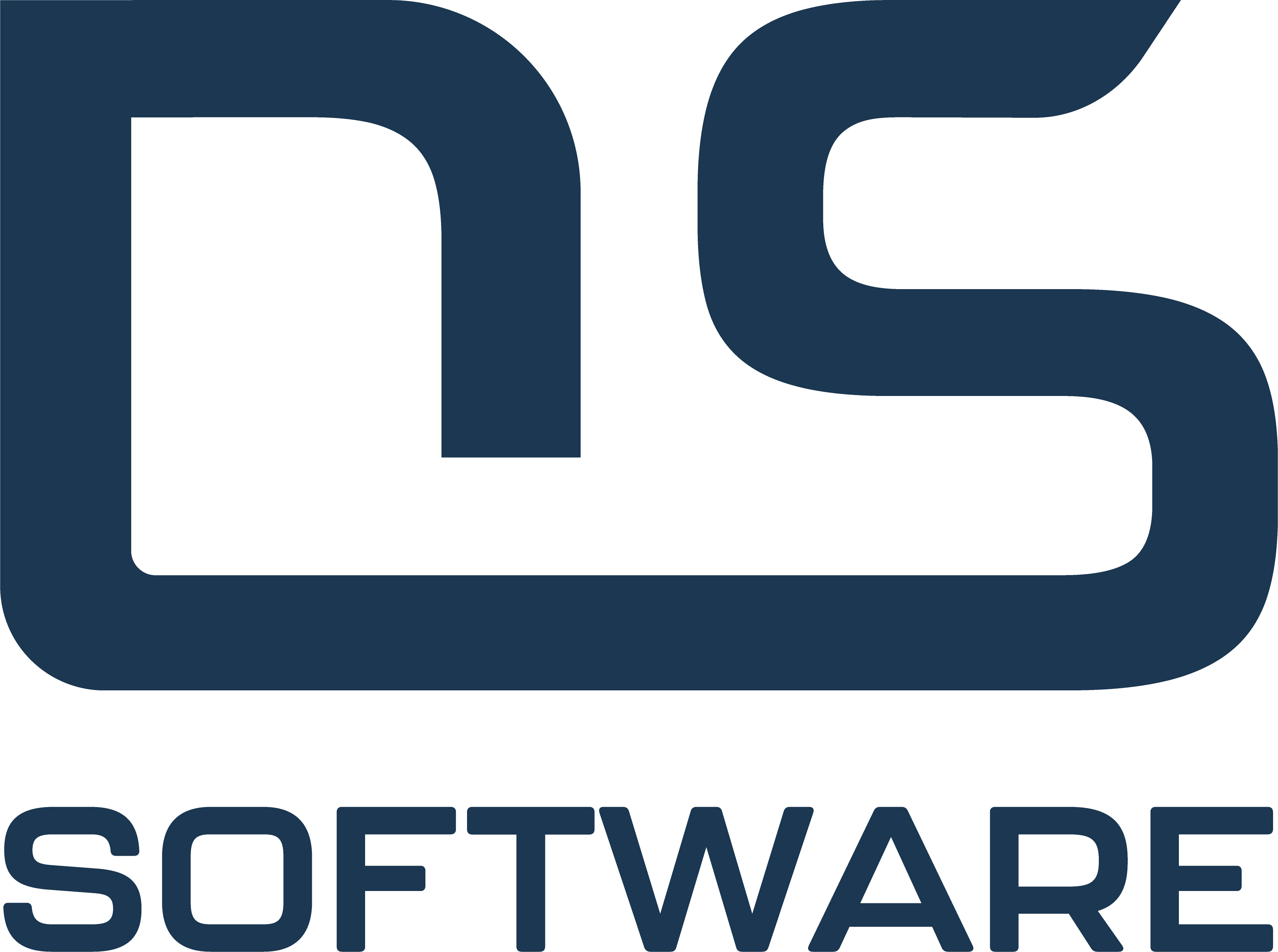 DS Software SNC Logo